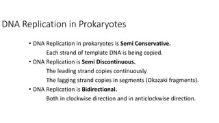 DNA Replication in Prokaryotes
• DNA Replication in prokaryotes is Semi Conservative.
Each strand of template DNA is being copied.
• DNA Replication is Semi Discontinuous.
The leading strand copies continuously
The lagging strand copies in segments (Okazaki fragments).
• DNA Replication is Bidirectional.
Both in clockwise direction and in anticlockwise direction.
 