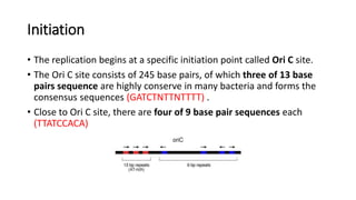 Initiation
• The replication begins at a specific initiation point called Ori C site.
• The Ori C site consists of 245 base pairs, of which three of 13 base
pairs sequence are highly conserve in many bacteria and forms the
consensus sequences (GATCTNTTNTTTT) .
• Close to Ori C site, there are four of 9 base pair sequences each
(TTATCCACA)
 