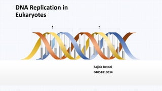 Sajida Batool
04051813034
DNA Replication in
Eukaryotes
 