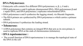 DNA Polymerases:
• Eukaryotic cells contain five different DNA polymerases; α, β, γ, δ and ε.
• DNA polymerases α and δ replicate chromosomal DNA, DNA polymerases β and
ε repair DNA, and DNA polymerase γ replicates mitochondrial DNA.
• DNA polymerase α and δ synthesize the lagging strand, via Okazaki fragments.
• The RNA primers are synthesized by DNA polymerase α which carries a primase
subunit.
• DNA polymerase δ synthesizes the leading strand.
• Telomerase:
• A DNA polymerase that contains an integral RNA that acts as its own primer, is
used to replicate DNA at the ends of chromosomes (telomeres).
• DNA topoisomerase :
• The overall function of DNA topoisomerase is to manage the topological state of
the DNA in the cell
 