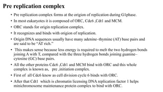 Pre replication complex
• Pre replication complex forms at the origion of replication during G1phase.
• In most eukaryotes it is composed of ORC, Cdc6 ,Cdt1 and MCM.
• ORC stands for origin replication complex.
• It recognizes and binds with origion of replication.
• Origin DNA sequences usually have many adenine–thymine (AT) base pairs and
are said to be “AT rich.”
• This makes sense because less energy is required to melt the two hydrogen bonds
joining A with T, compared with the three hydrogen bonds joining guanine–
cytosine (GC) base pairs.
• All the other proteins Cdc6 ,Cdt1 and MCM bind with ORC and this whole
complex is known as, pre ,initiation complex.
• First of all Cdc6 know as cell division cycle 6 binds with ORC.
• After that Cdt1 which is chromatin licensing DNA replication factor 1 helps
minichromosome maintenance protein complex to bind with ORC.
 