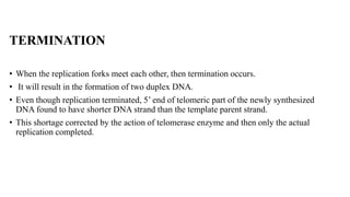 TERMINATION
• When the replication forks meet each other, then termination occurs.
• It will result in the formation of two duplex DNA.
• Even though replication terminated, 5’ end of telomeric part of the newly synthesized
DNA found to have shorter DNA strand than the template parent strand.
• This shortage corrected by the action of telomerase enzyme and then only the actual
replication completed.
 