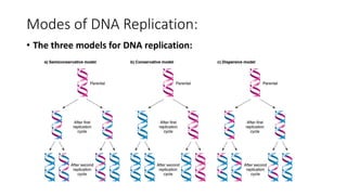 Modes of DNA Replication:
• The three models for DNA replication:
 