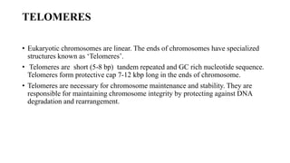 TELOMERES
• Eukaryotic chromosomes are linear. The ends of chromosomes have specialized
structures known as ‘Telomeres’.
• Telomeres are short (5-8 bp) tandem repeated and GC rich nucleotide sequence.
Telomeres form protective cap 7-12 kbp long in the ends of chromosome.
• Telomeres are necessary for chromosome maintenance and stability. They are
responsible for maintaining chromosome integrity by protecting against DNA
degradation and rearrangement.
 