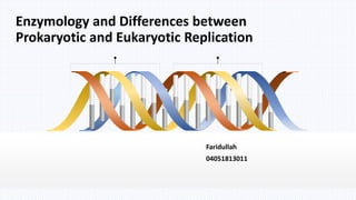 Faridullah
04051813011
Enzymology and Differences between
Prokaryotic and Eukaryotic Replication
 