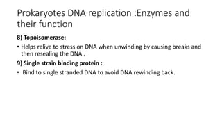 Prokaryotes DNA replication :Enzymes and
their function
8) Topoisomerase:
• Helps relive to stress on DNA when unwinding by causing breaks and
then resealing the DNA .
9) Single strain binding protein :
• Bind to single stranded DNA to avoid DNA rewinding back.
 