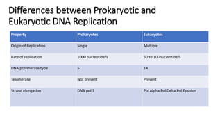 Property Prokaryotes Eukaryotes
Origin of Replication Single Multiple
Rate of replication 1000 nucleotide/s 50 to 100nucleotide/s
DNA polymerase type 5 14
Telomerase Not present Present
Strand elongation DNA pol 3 Pol Alpha,Pol Delta,Pol Epsolon
Differences between Prokaryotic and
Eukaryotic DNA Replication
 