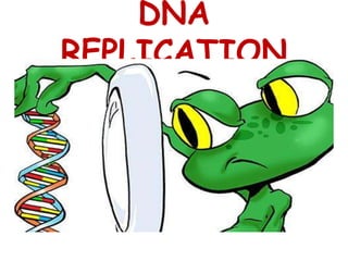 DNA
REPLICATION
 