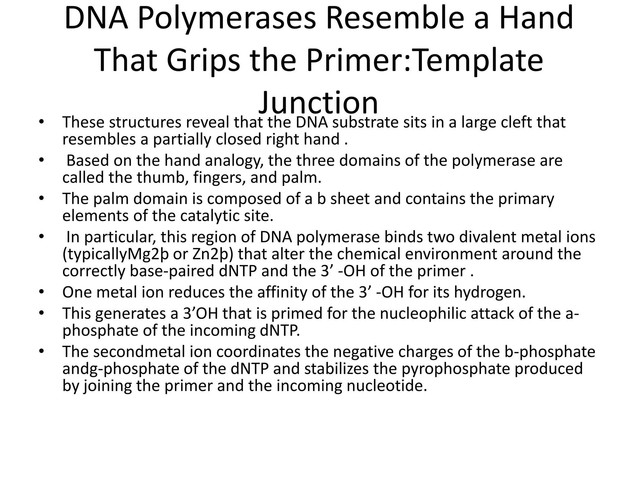 THE MECHANISM OF DNA POLYMERASE & CHEMICAL NATURTE TOPIC OF MOLECULAR