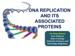 DNA REPLICATION
AND ITS
ASSOCIATED
PROTEINS
Mr. Rizaul Ahmed
Asst. Professor
Dept of Zoology
University of Science and
Technology, Meghalaya.
 