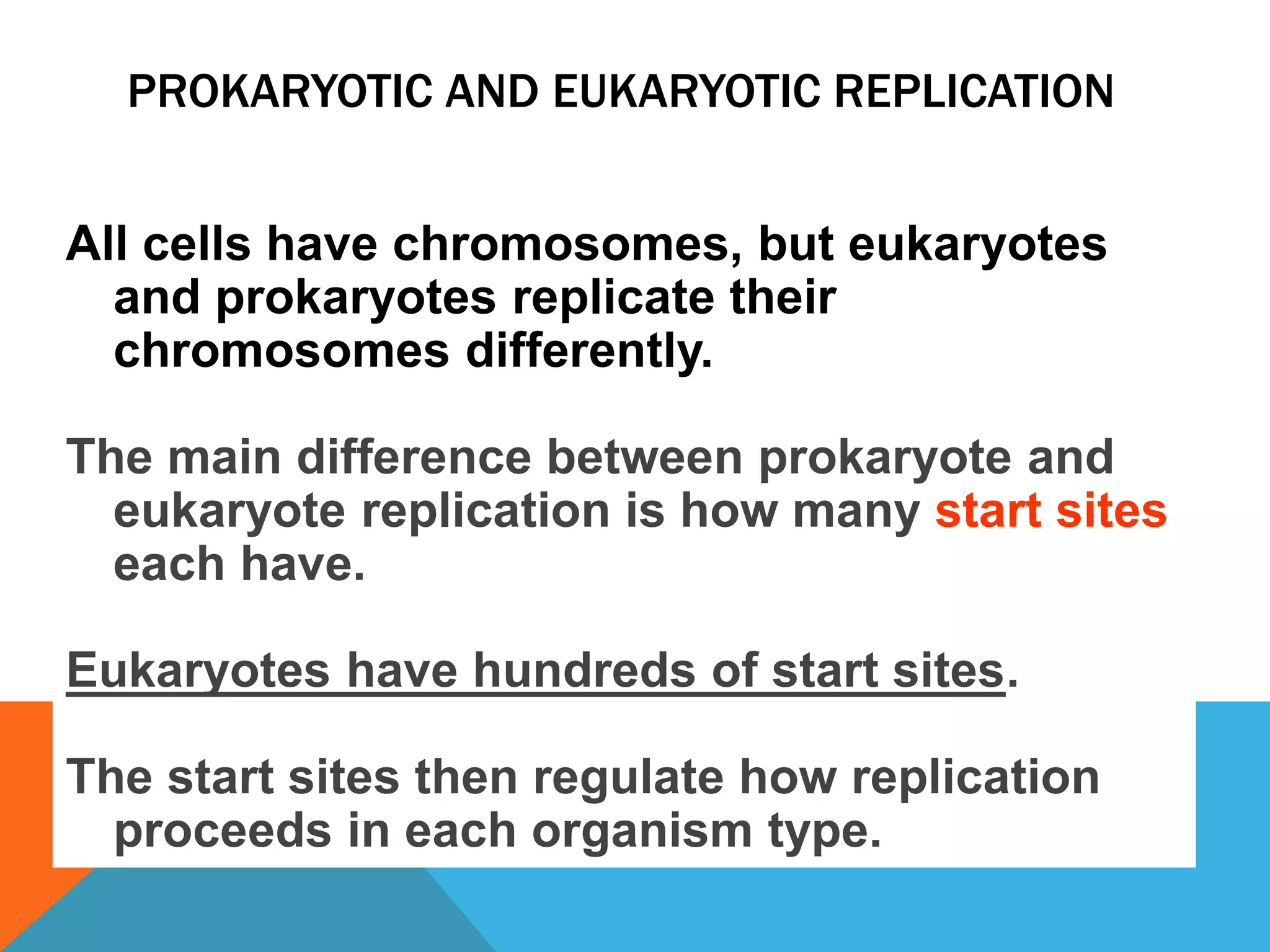PROKARYOTIC AND EUKARYOTIC REPLICATION
All cells have chromosomes, but eukaryotes
and prokaryotes replicate their
chromosomes differently.
The main difference between prokaryote and
eukaryote replication is how many start sites
each have.
Eukaryotes have hundreds of start sites.
The start sites then regulate how replication
proceeds in each organism type.
 