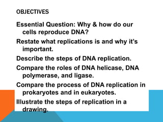 OBJECTIVES
Essential Question: Why & how do our
cells reproduce DNA?
Restate what replications is and why it’s
important.
Describe the steps of DNA replication.
Compare the roles of DNA helicase, DNA
polymerase, and ligase.
Compare the process of DNA replication in
prokaryotes and in eukaryotes.
Illustrate the steps of replication in a
drawing.
 