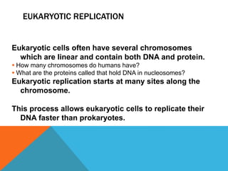 EUKARYOTIC REPLICATION
Eukaryotic cells often have several chromosomes
which are linear and contain both DNA and protein.
 How many chromosomes do humans have?
 What are the proteins called that hold DNA in nucleosomes?
Eukaryotic replication starts at many sites along the
chromosome.
This process allows eukaryotic cells to replicate their
DNA faster than prokaryotes.
 