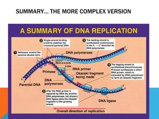SUMMARY… THE MORE COMPLEX VERSION
 