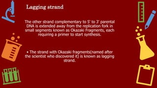 Lagging strand
The other strand complementary to 5' to 3' parental
DNA is extended away from the replication fork in
small segments known as Okazaki Fragments, each
requiring a primer to start synthesis.
• The strand with Okazaki fragments(named after
the scientist who discovered it) is known as lagging
strand.
 