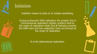 Initiation
Initiation means to start or to initiate something.
During prokaryotic DNA replication the protein Dna A
(chromosomal replication initiator protein) bind to
the origin of replication while Dna B helicase unwinds
the DNA helix and two replication forks are formed at
the origin of replication
It is the bidirectional replication.
 