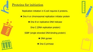 Proteins for initiation
Replication initiation in E.coli requires 6 proteins.
⚫ Dna A or chromosomal replication initiator protein
⚫ Dna B or replicative DNA helicase
Dna C (DNA replication protein)
SSBP (single stranded DNA-binding protein)
⚫ DNA gyrase
⚫ Dna G primase
 