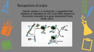 Recognition of origin
Genetic studies ( in prokaryotic ) suggested that
initiation of replication at oriC most likely depend on
the protein encoded by a gene designated DnaA,
DnaB, DnaC .
 