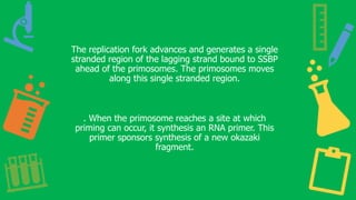 The replication fork advances and generates a single
stranded region of the lagging strand bound to SSBP
ahead of the primosomes. The primosomes moves
along this single stranded region.
. When the primosome reaches a site at which
priming can occur, it synthesis an RNA primer. This
primer sponsors synthesis of a new okazaki
fragment.
 