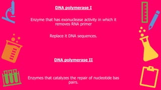 DNA polymerase I
Enzyme that has exonuclease activity in which it
removes RNA primer
Replace it DNA sequences.
DNA polymerase II
Enzymes that catalyzes the repair of nucleotide bas
pairs.
 