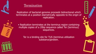 Termination
Replication of bacterial genome proceeds bidirectional which
terminates at a position diametrically opposite to the origin of
replication.
• Replication terminates at the terminus region containing
multiple copies of a 20bp sequence called Ter (terminus)
sequences.
Ter is a binding site for TUS (terminus utilization
substance)protein.
 