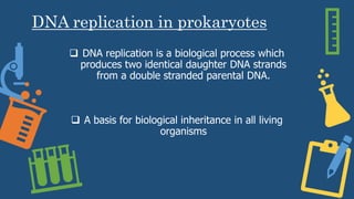 DNA replication in prokaryotes
 DNA replication is a biological process which
produces two identical daughter DNA strands
from a double stranded parental DNA.
 A basis for biological inheritance in all living
organisms
 