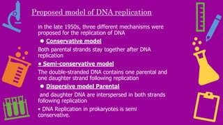 Proposed model of DNA replication
in the late 1950s, three different mechanisms were
proposed for the replication of DNA
⚫ Conservative model
Both parental strands stay together after DNA
replication
• Semi-conservative model
The double-stranded DNA contains one parental and
one daughter strand following replication
⚫ Dispersive model Parental
and daughter DNA are interspersed in both strands
following replication
• DNA Replication in prokaryotes is semi
conservative.
 
