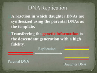 dna_replication.pptx