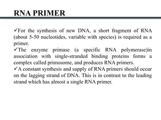 Rna Primer Example DNA replication.pptx
