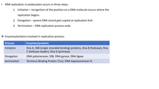• DNA replication in prokaryotes occurs in three steps:
1. Initiation – recognition of the position on a DNA molecule occurs where the
replication begins.
2. Elongation – parent DNA strand gets copied at replication fork.
3. Termination – DNA replication process ends.
 Enzymes/proteins involved in replication process:
Process Enzymes/proteins
Initiation Dna A, SSB (single stranded binding) proteins, Dna B (helicase), Dna
C (helicase loader), Dna G (primase)
Elongation DNA polymerases, SSB, DNA gyrase, DNA ligase
termination Terminus Binding Protein (Tus), DNA topoisomerase IV.
 