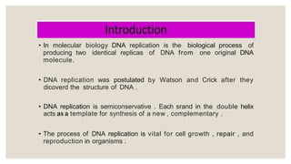 molecular biology ,Replication of DNA,with all steps | PPTX