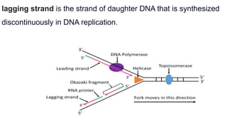 lagging strand is the strand of daughter DNA that is synthesized
discontinuously in DNA replication.
 