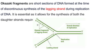 Okazaki fragments are short sections of DNA formed at the time
of discontinuous synthesis of the lagging strand during replication
of DNA. It is essential as it allows for the synthesis of both the
daughter strands required for cell division.
 