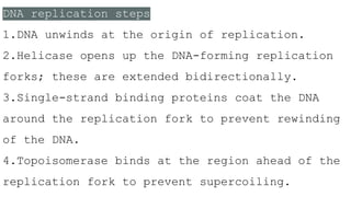 DNA replication steps
1.DNA unwinds at the origin of replication.
2.Helicase opens up the DNA-forming replication
forks; these are extended bidirectionally.
3.Single-strand binding proteins coat the DNA
around the replication fork to prevent rewinding
of the DNA.
4.Topoisomerase binds at the region ahead of the
replication fork to prevent supercoiling.
 