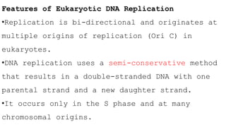 Features of Eukaryotic DNA Replication
•Replication is bi-directional and originates at
multiple origins of replication (Ori C) in
eukaryotes.
•DNA replication uses a semi-conservative method
that results in a double-stranded DNA with one
parental strand and a new daughter strand.
•It occurs only in the S phase and at many
chromosomal origins.
 