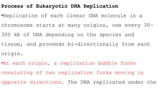 Process of Eukaryotic DNA Replication
•Replication of each linear DNA molecule in a
chromosome starts at many origins, one every 30–
300 kb of DNA depending on the species and
tissue, and proceeds bi-directionally from each
origin.
•At each origin, a replication bubble forms
consisting of two replication forks moving in
opposite directions. The DNA replicated under the
 