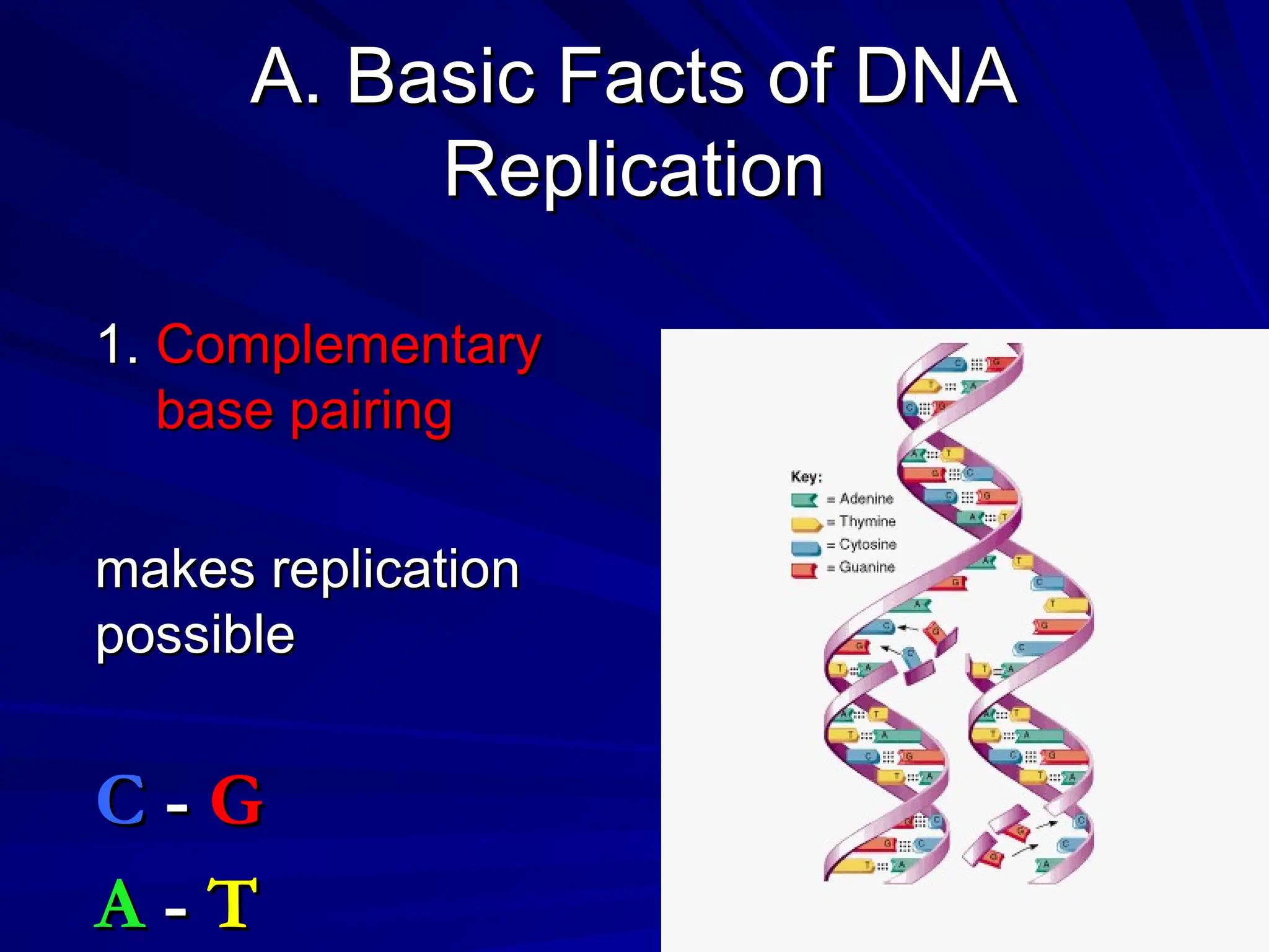DNA Replication ,DNA and RNA and central dogma | PPT