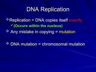 Relication process in DNA double helical | PPT