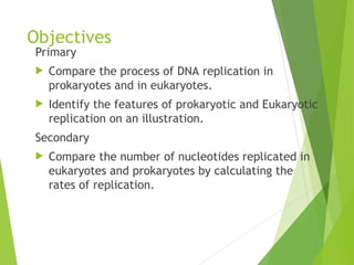 DNA Replication in eukaryotes and prokaryotes | PPT