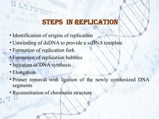 DNA replication.pptx Process by which DNA makes a copy of itself during ...