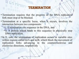 DNA replication.pptx Process by which DNA makes a copy of itself during ...