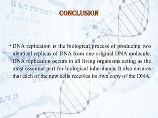 DNA replication.pptx Process by which DNA makes a copy of itself during ...