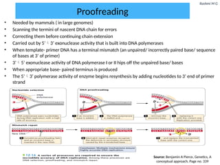 DNA replication (Introduction, methods, biochemistry, steps involved ...