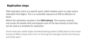 DNA REPLICATION definition and enzymes.pptx