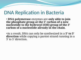 Comprehensive Overview of DNA Replication Mechanisms in Prokaryotes | PPTX