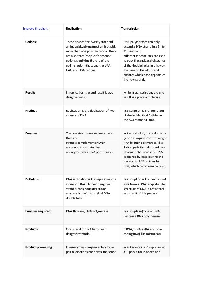 Dna Replication Transcription And Translation Worksheet Answers