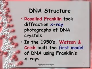 2
DNA StructureDNA Structure
• Rosalind Franklin took
diffraction x-ray
photographs of DNA
crystals
• In the 1950’s, Watson &
Crick built the first model
of DNA using Franklin’s
x-rays
copyright cmassengale
 
