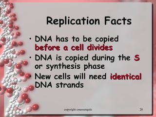20
Replication FactsReplication Facts
• DNA has to be copiedDNA has to be copied
before a cell dividesbefore a cell divides
• DNA is copied during theDNA is copied during the SS
or synthesis phaseor synthesis phase
• New cells will needNew cells will need identicalidentical
DNA strandsDNA strands
copyright cmassengale
 