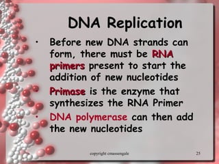 25
DNA ReplicationDNA Replication
• BeforeBefore new DNA strands can
form, there must be RNARNA
primersprimers present to start the
addition of new nucleotides
• PrimasePrimase is the enzyme that
synthesizes the RNA Primer
• DNA polymerase can then add
the new nucleotides
copyright cmassengale
 