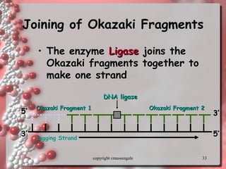33
Joining of Okazaki FragmentsJoining of Okazaki Fragments
• The enzymeThe enzyme LigaseLigase joins thejoins the
Okazaki fragments together toOkazaki fragments together to
make one strandmake one strand
Lagging Strand
Okazaki Fragment 2Okazaki Fragment 2
DNA ligaseDNA ligase
Okazaki Fragment 1Okazaki Fragment 1
5’
5’
3’
3’
copyright cmassengale
 